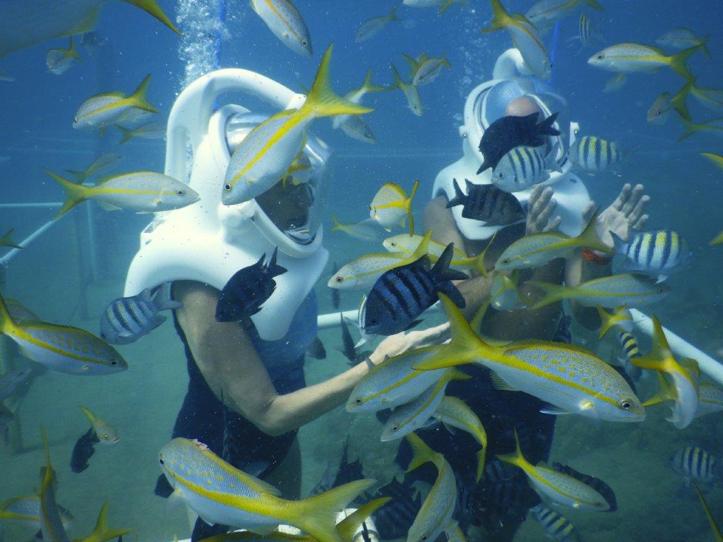 Sea Trek St Maarten