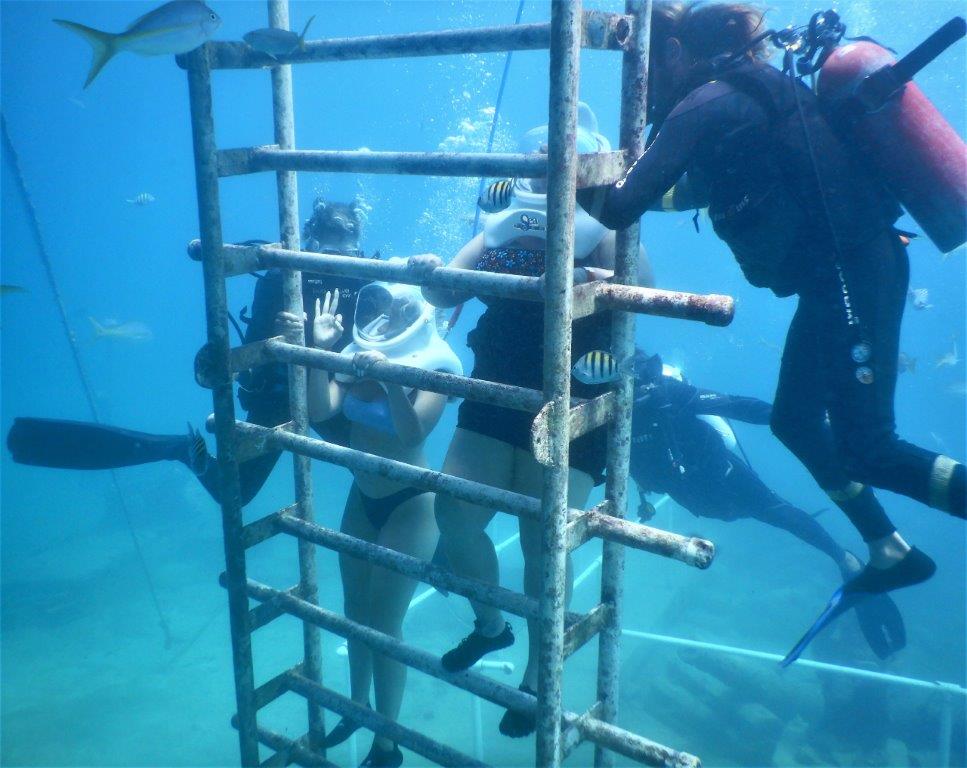 Sea Trek Sint Maarten